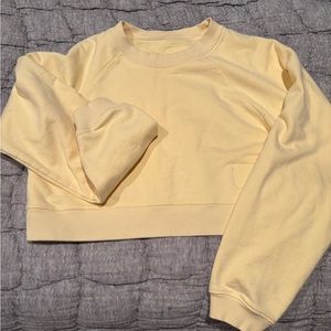 Daily drills yellow crop size small